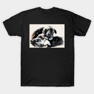 Puppies / Maléa is looking for the goblin - children's book WolfArt T-Shirt